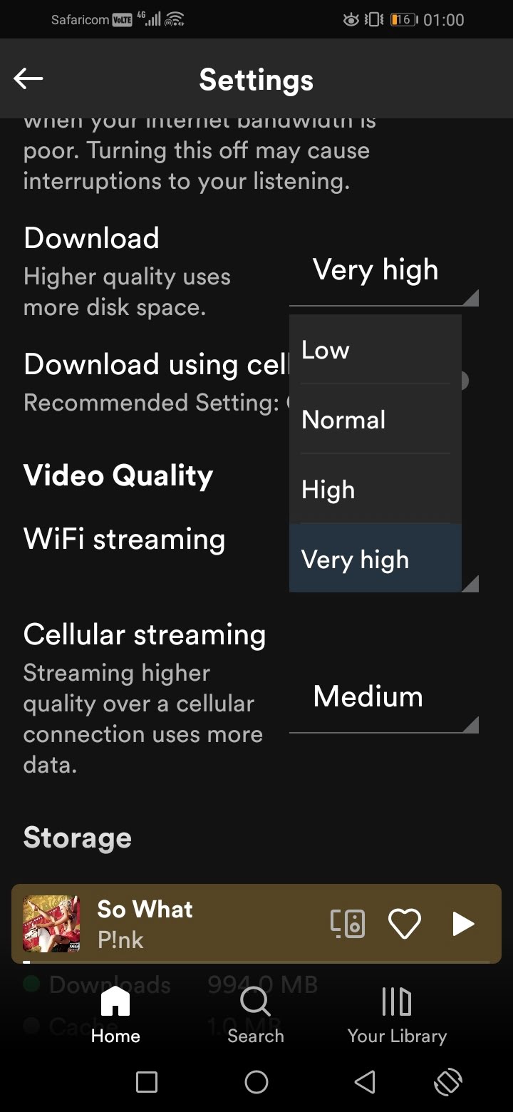 Spotify downloads